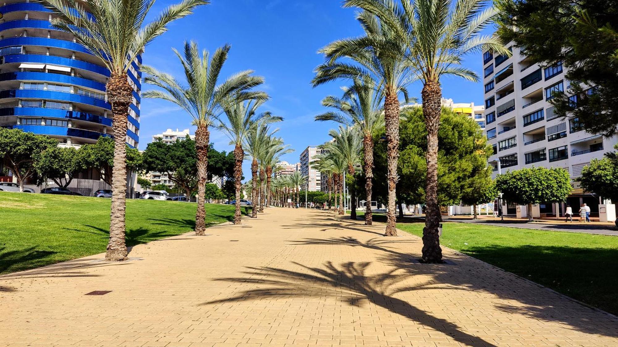 Cala Alta Design Apartment Benidorm Kültér fotó